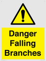 danger-falling-branches~